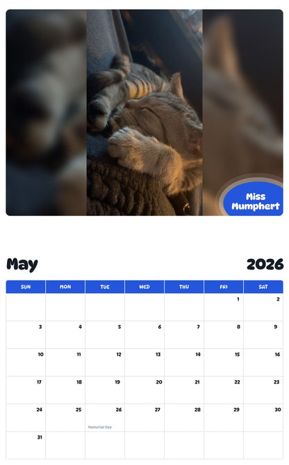 2026 - 2027 Miss Mumphert - Pawidols Pet Calendar