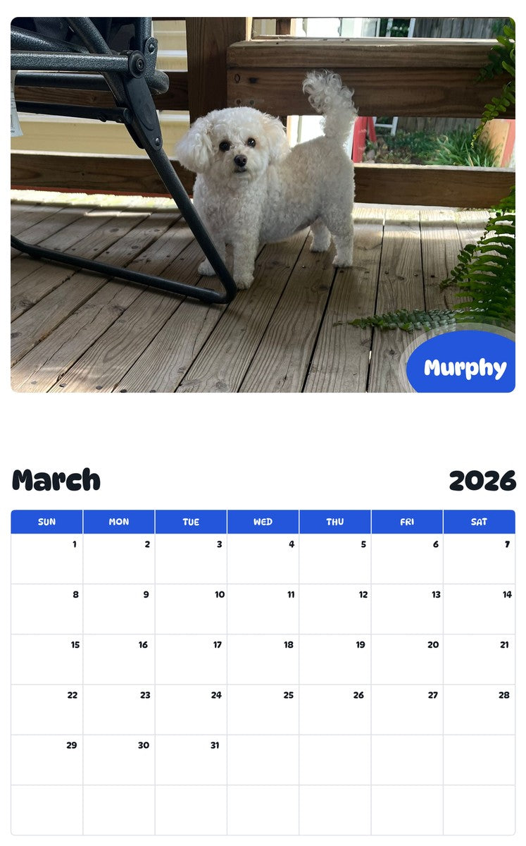 November 2025 - October 2026 Murphy - Pawidols Pet Calendar