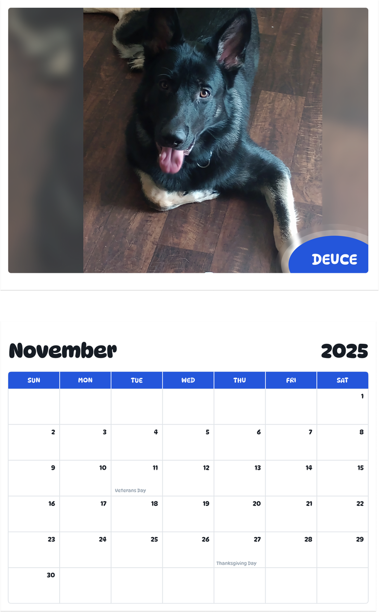 July 2025 - June 2026 Deuce - Pawidols Pet Calendar