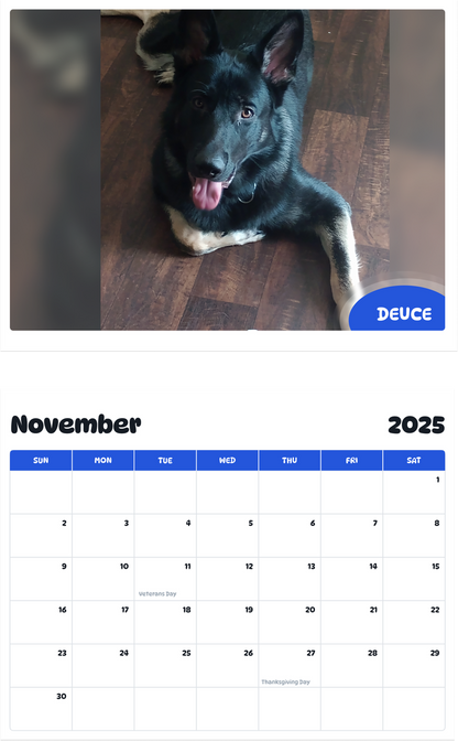 July 2025 - June 2026 Deuce - Pawidols Pet Calendar
