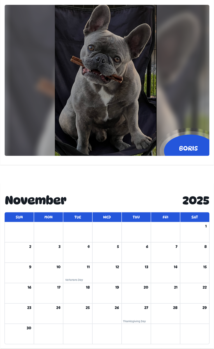 July 2025 - June 2026 Boris - Pawidols Pet Calendar