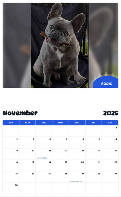 July 2025 - June 2026 Boris - Pawidols Pet Calendar