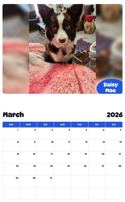 November 2025 - October 2026 Daisy Mae - Pawidols Pet Calendar