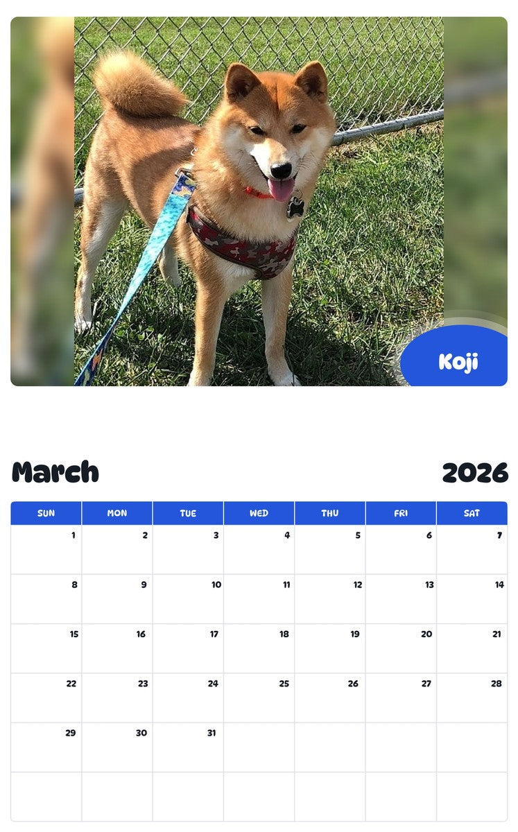 November 2025 - October 2026 Koji - Pawidols Pet Calendar