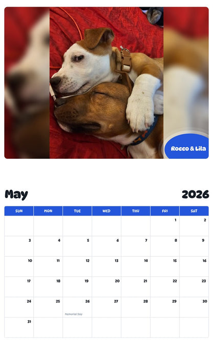 2026 - 2027 Rocco & Lila - Pawidols Pet Calendar
