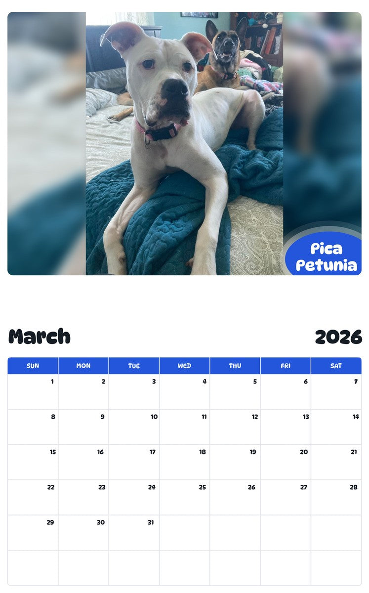 November 2025 - October 2026 Pica Petunia - Pawidols Pet Calendar