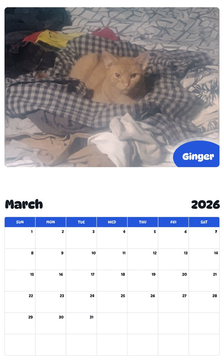 November 2025 - October 2026 Ginger - Pawidols Pet Calendar
