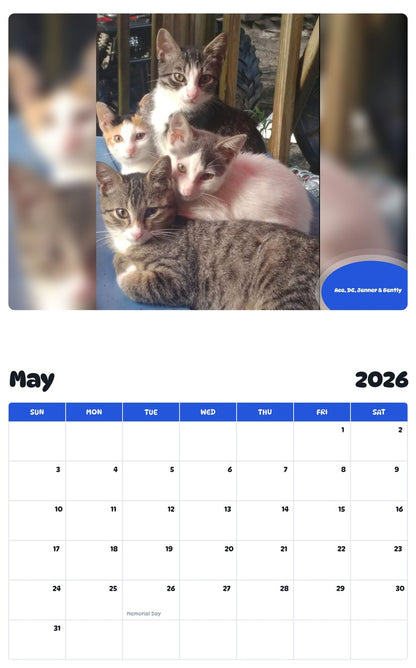 2026 - 2027 Ace, DC, Jenner & Bently - Pawidols Pet Calendar