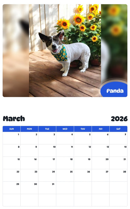 November 2025 - October 2026 Panda - Pawidols Pet Calendar