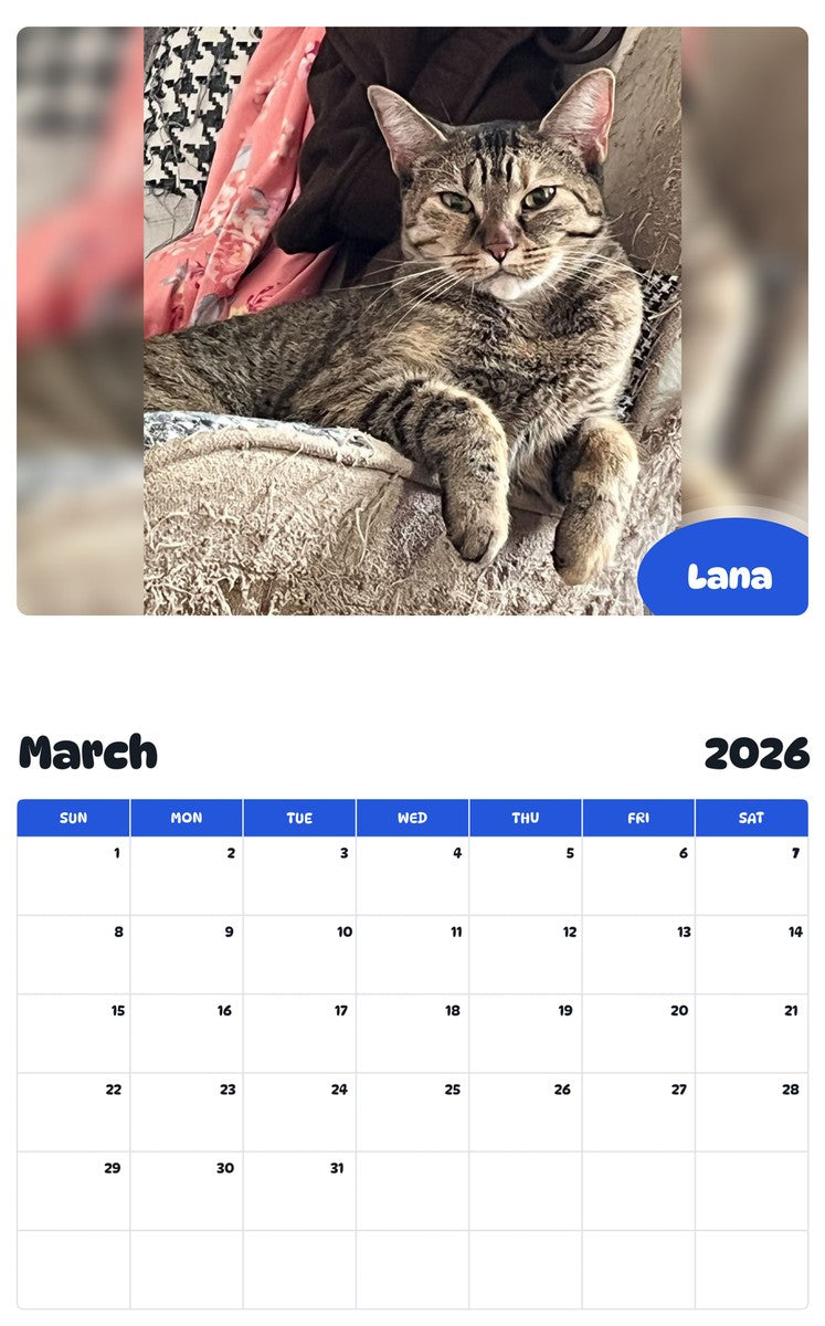 November 2025 - October 2026 Lana - Pawidols Pet Calendar