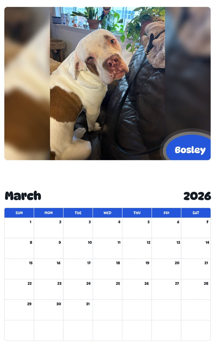 November 2025 - October 2026 Bosley - Pawidols Pet Calendar