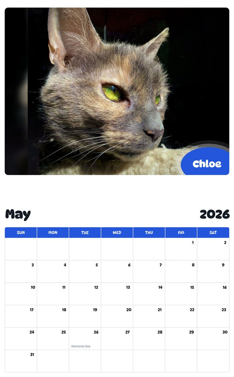 2026 - 2027 Chloe - Pawidols Pet Calendar