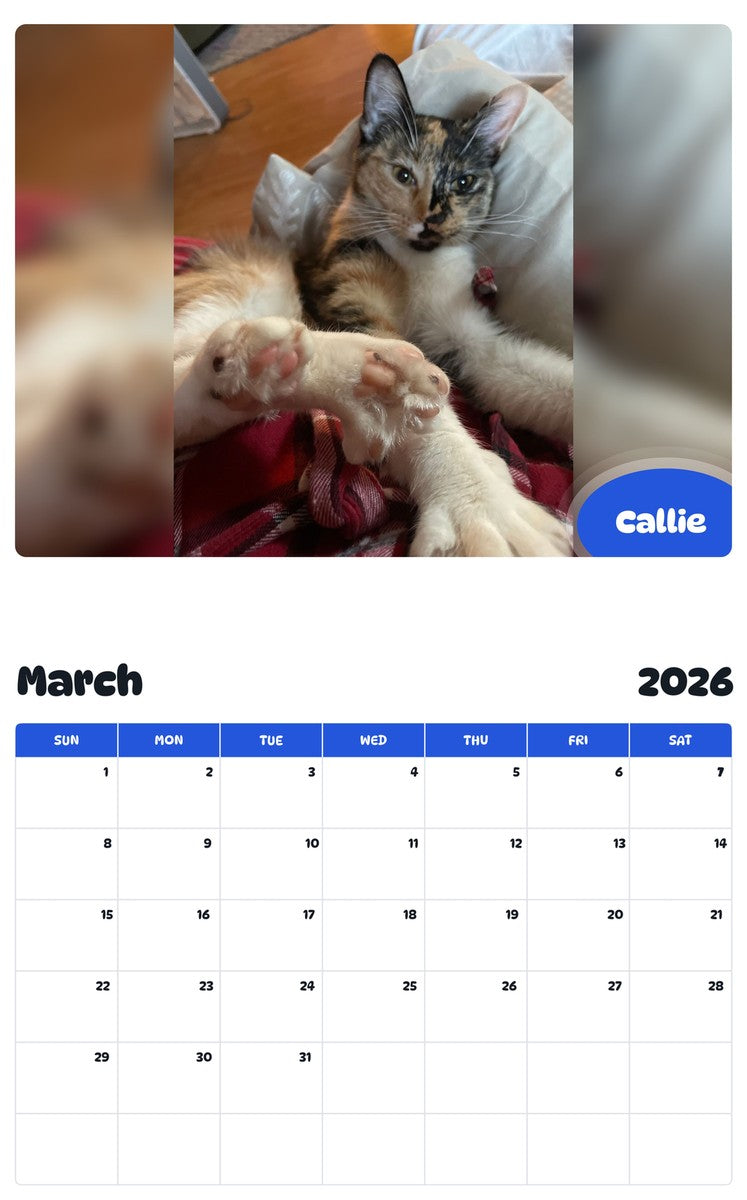 November 2025 - October 2026 Callie - Pawidols Pet Calendar