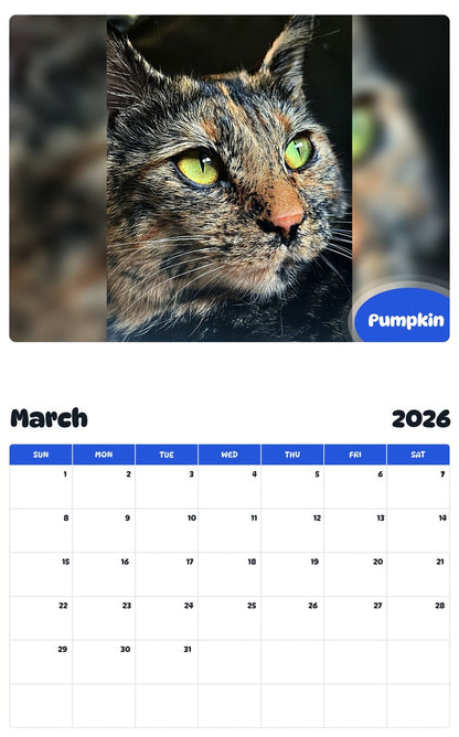November 2025 - October 2026 Pumpkin - Pawidols Pet Calendar