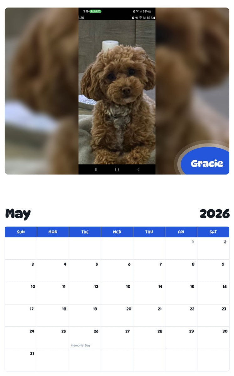 2026 - 2027 Gracie - Pawidols Pet Calendar