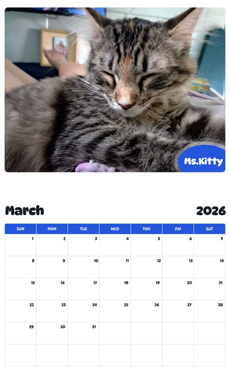 November 2025 - October 2026 Ms.Kitty - Pawidols Pet Calendar