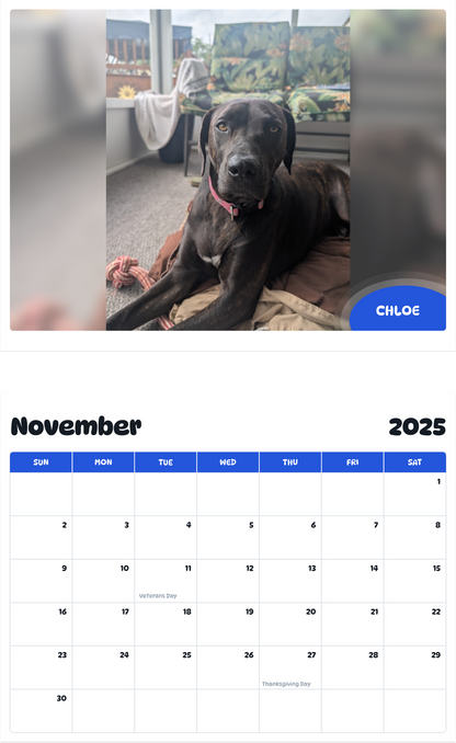 July 2025 - June 2026 Chloe - Pawidols Pet Calendar