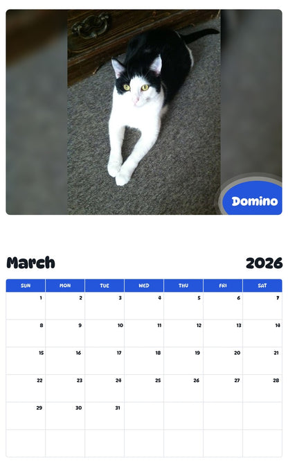 November 2025 - October 2026 Domino - Pawidols Pet Calendar