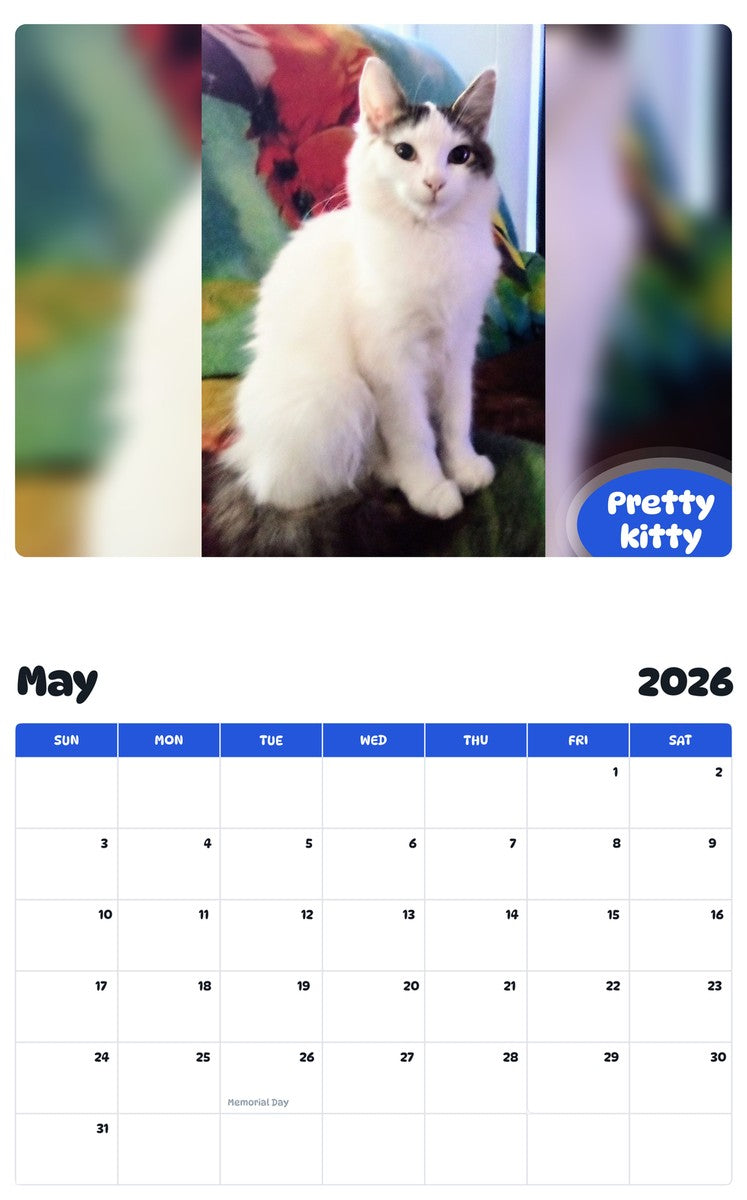 2026 - 2027 Pretty kitty - Pawidols Pet Calendar