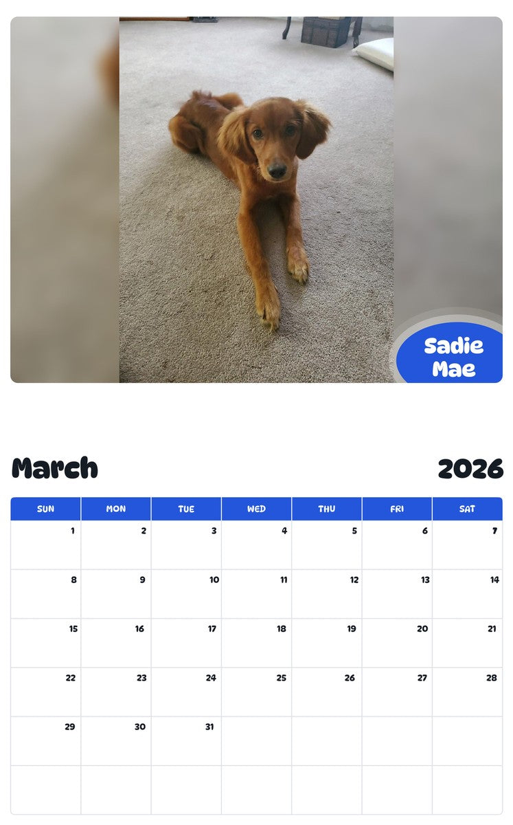 November 2025 - October 2026 Sadie Mae - Pawidols Pet Calendar
