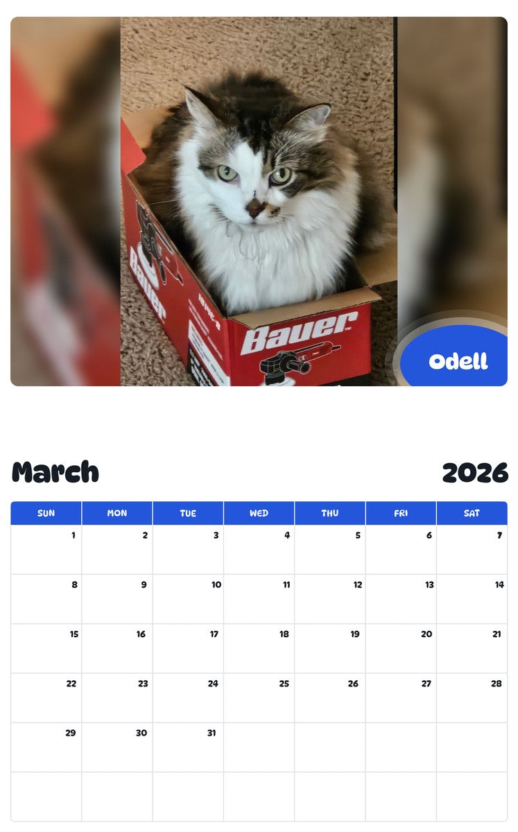 November 2025 - October 2026 Odell - Pawidols Pet Calendar