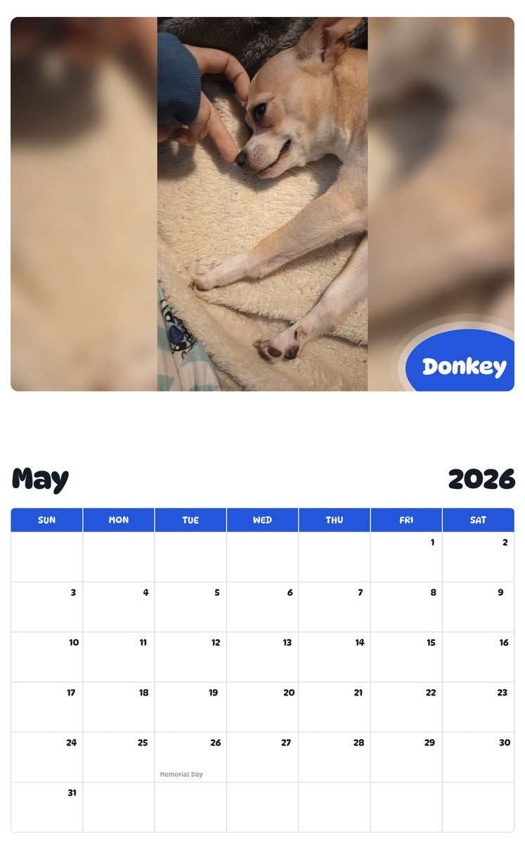 2026 - 2027 Donkey - Pawidols Pet Calendar
