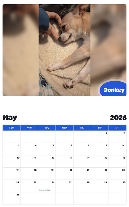 2026 - 2027 Donkey - Pawidols Pet Calendar