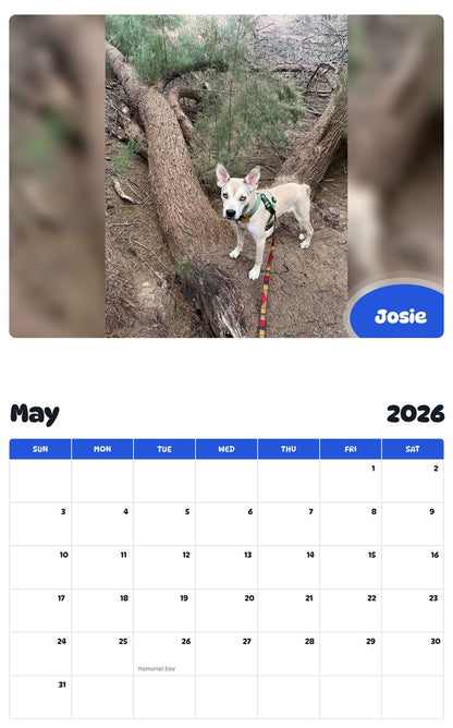 2026 - 2027 Josie - Pawidols Pet Calendar