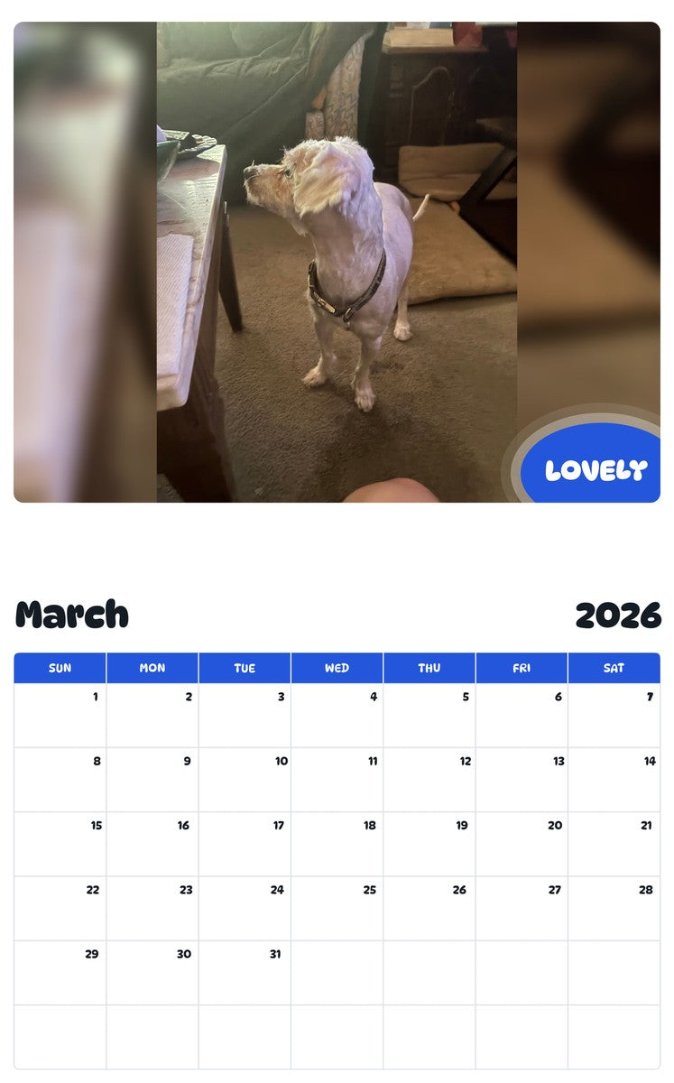 November 2025 - October 2026 LOVELY - Pawidols Pet Calendar