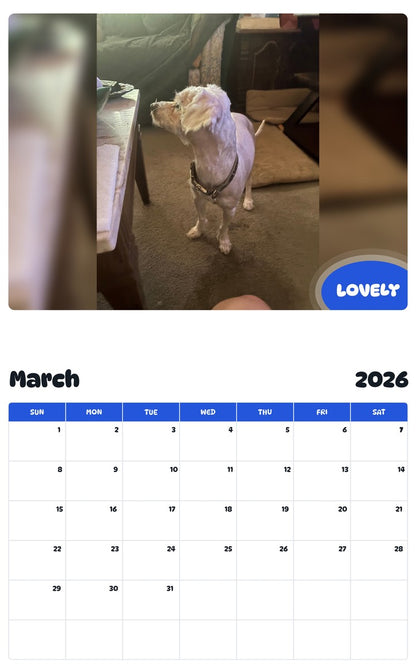November 2025 - October 2026 LOVELY - Pawidols Pet Calendar
