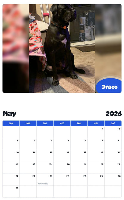 2026 - 2027 Draco - Pawidols Pet Calendar