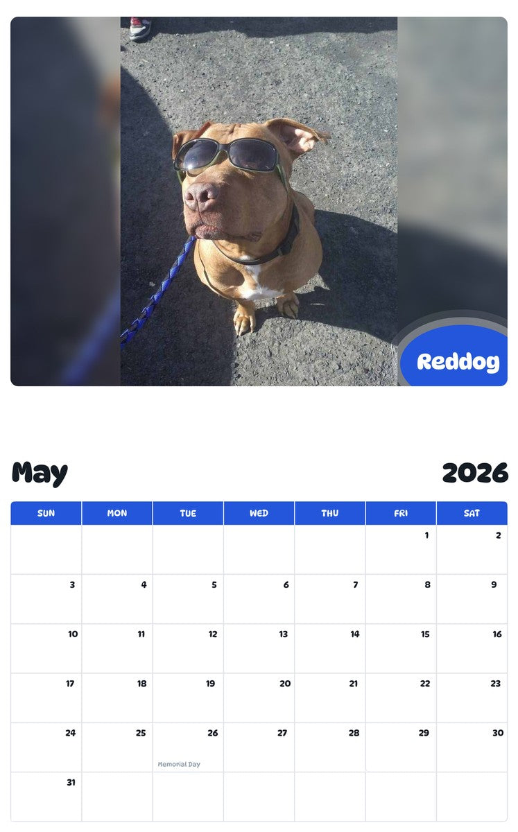 2026 - 2027 Reddog - Pawidols Pet Calendar