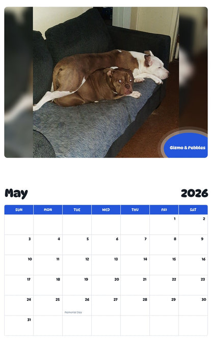 2026 - 2027 Gizmo & Pebbles - Pawidols Pet Calendar