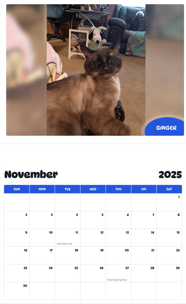 July 2025 - June 2026 Ginger - Pawidols Pet Calendar