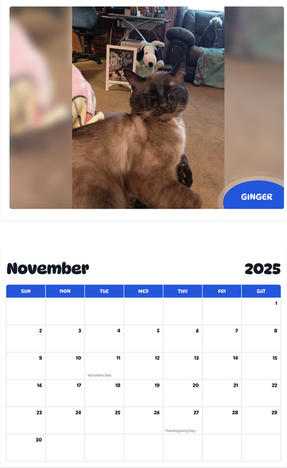 July 2025 - June 2026 Ginger - Pawidols Pet Calendar