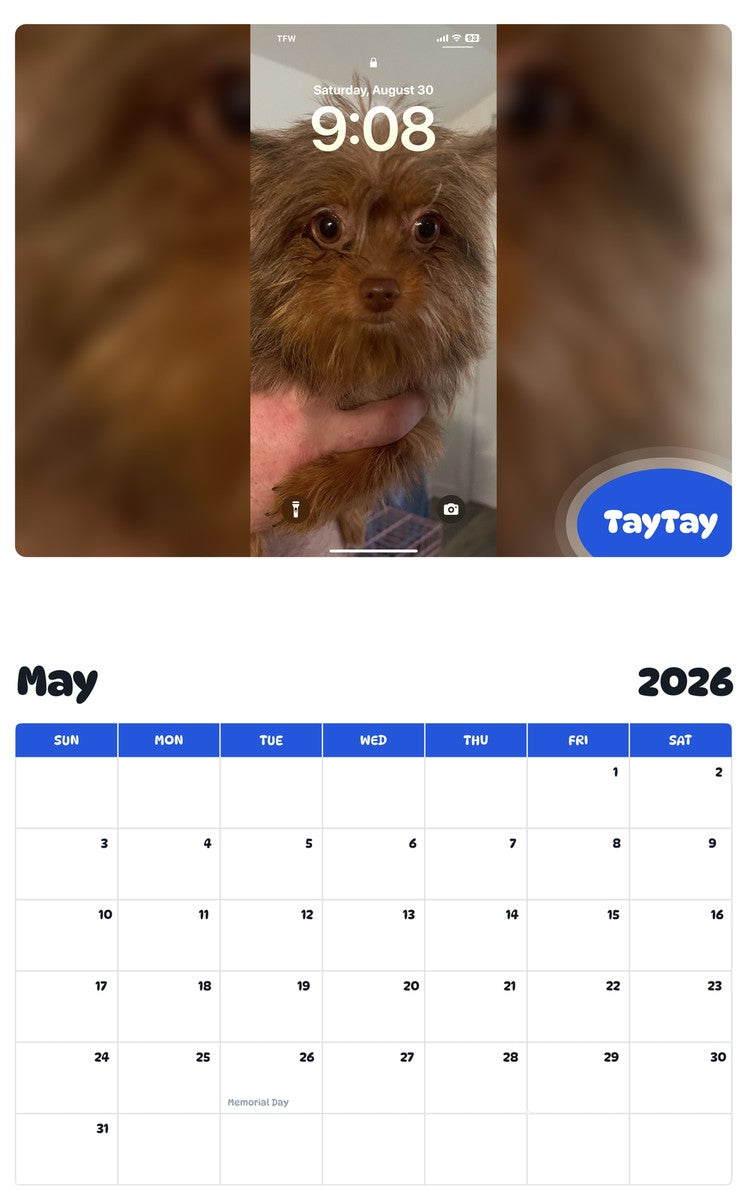 2026 - 2027 TayTay - Pawidols Pet Calendar