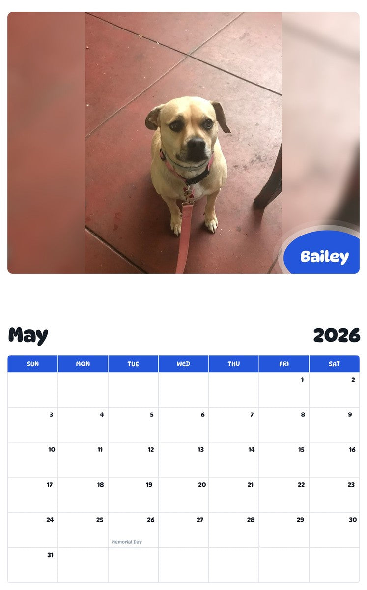 2026 - 2027 Bailey - Pawidols Pet Calendar