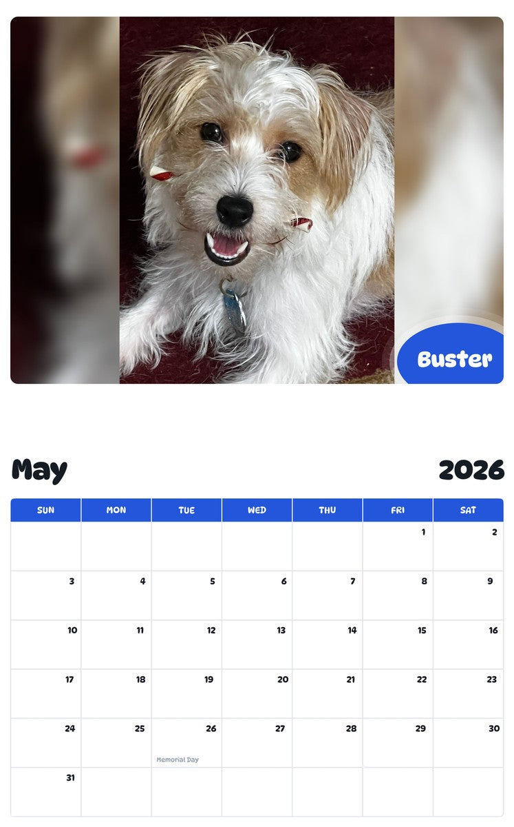 2026 - 2027 Buster - Pawidols Pet Calendar