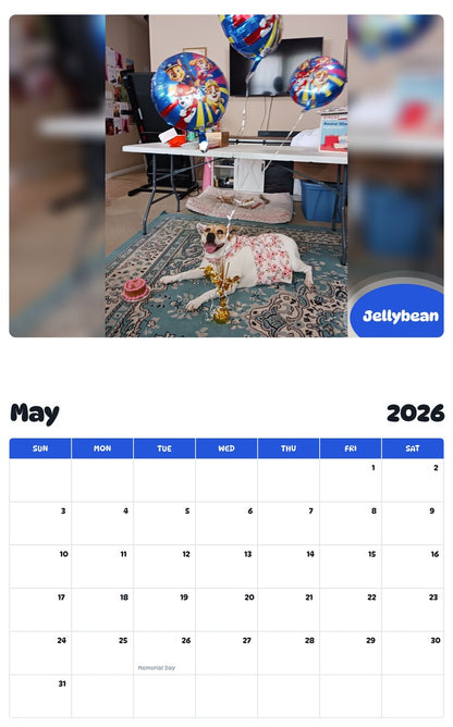 2026 - 2027 Jellybean - Pawidols Pet Calendar