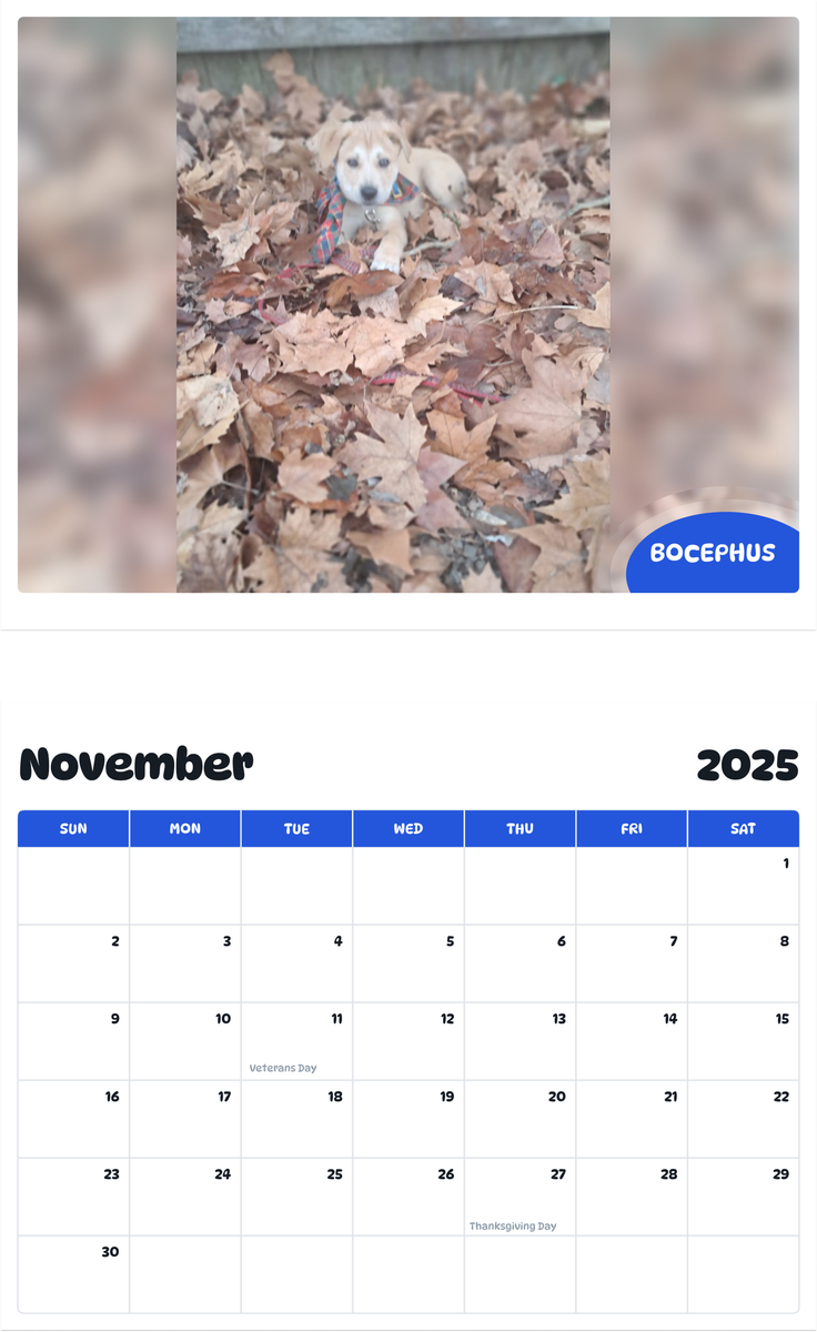 July 2025 - June 2026 Bocephus - Pawidols Pet Calendar