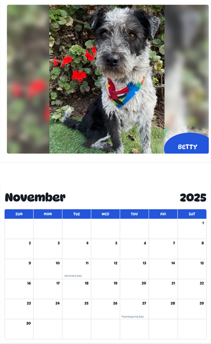 July 2025 - June 2026 BETTY - Pawidols Pet Calendar