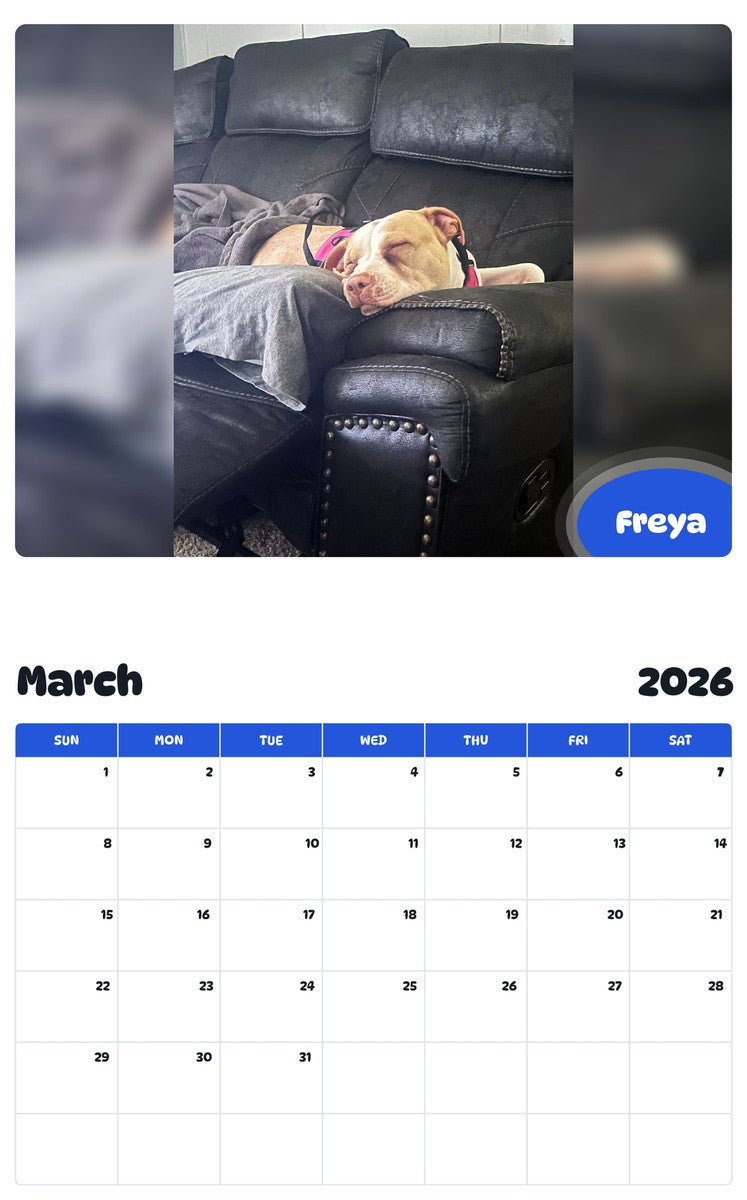 November 2025 - October 2026 Freya - Pawidols Pet Calendar