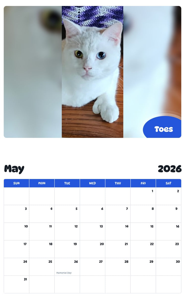 2026 - 2027 Toes - Pawidols Pet Calendar