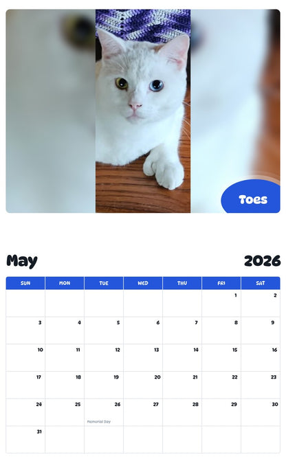 2026 - 2027 Toes - Pawidols Pet Calendar