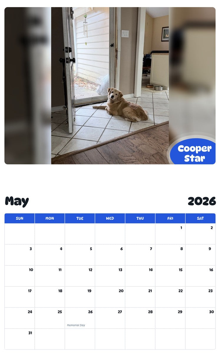2026 - 2027 Cooper Star - Pawidols Pet Calendar
