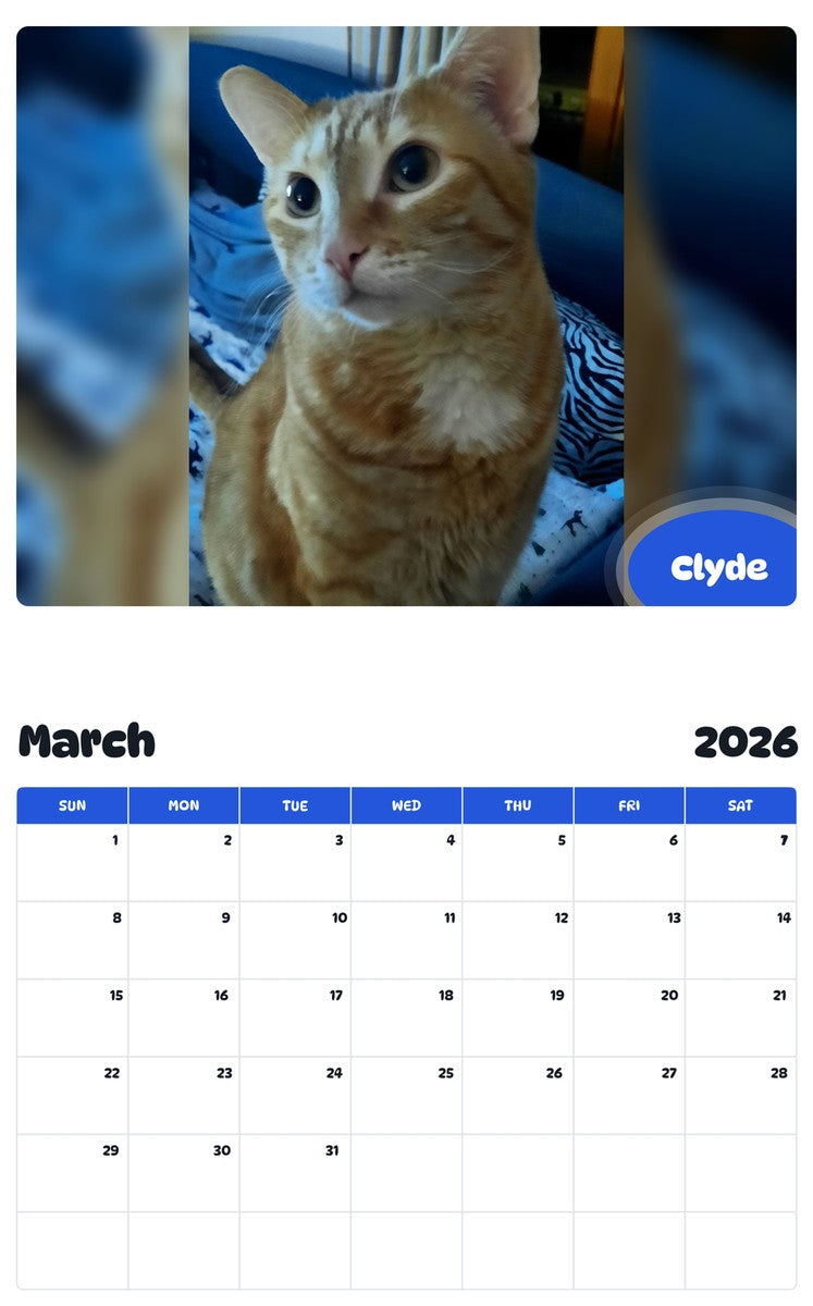 November 2025 - October 2026 Clyde - Pawidols Pet Calendar