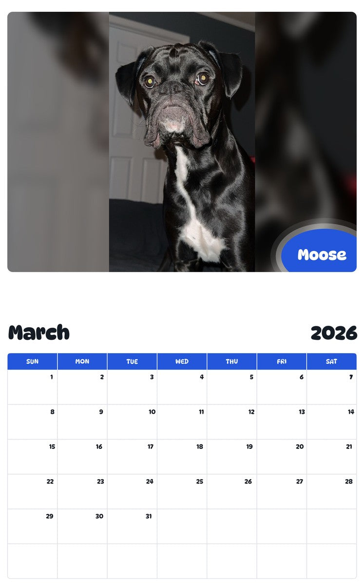 November 2025 - October 2026 Moose - Pawidols Pet Calendar