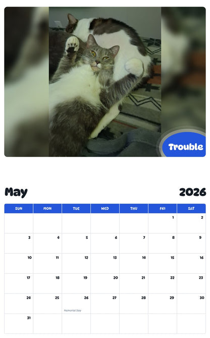 2026 - 2027 Trouble - Pawidols Pet Calendar