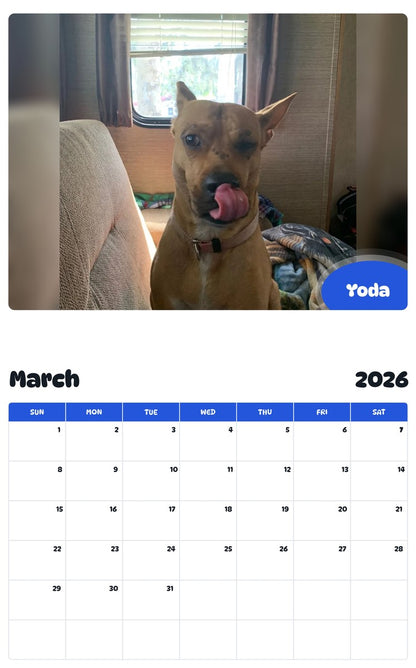 November 2025 - October 2026 Yoda - Pawidols Pet Calendar