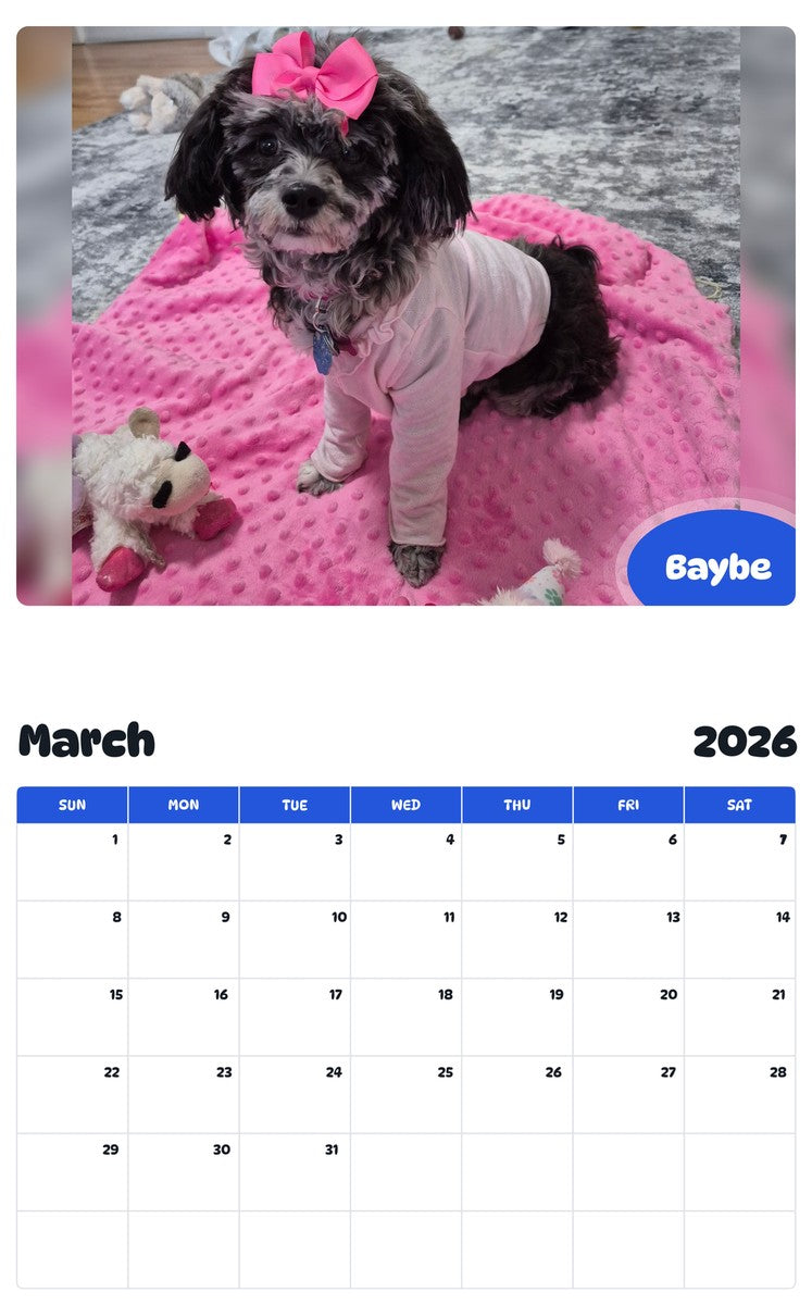 November 2025 - October 2026 Baybe - Pawidols Pet Calendar